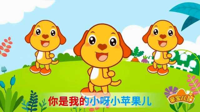 徐菲版小苹果小苹果游戏助手官网