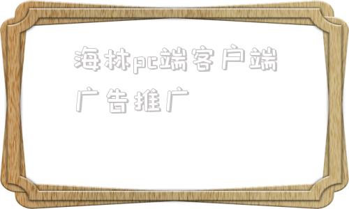 海林pc端客户端广告推广黄海林匠心传承黎族竹木器乐