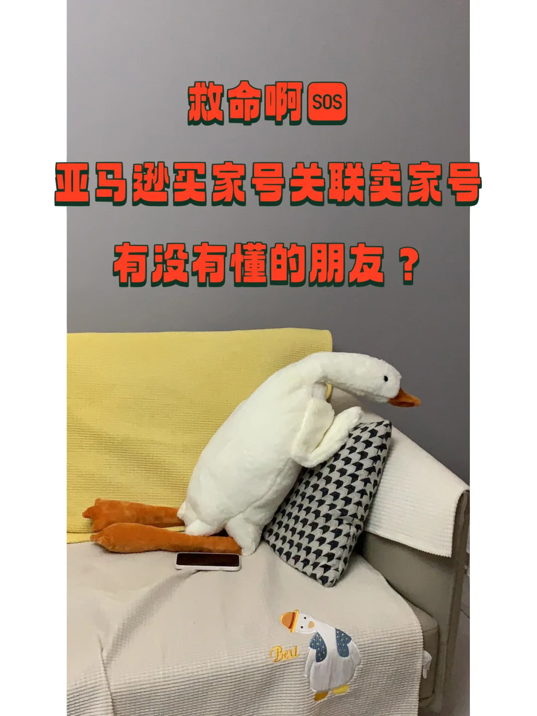 亚马逊客户端无法登录亚马逊店铺更改付款无法登录怎么办