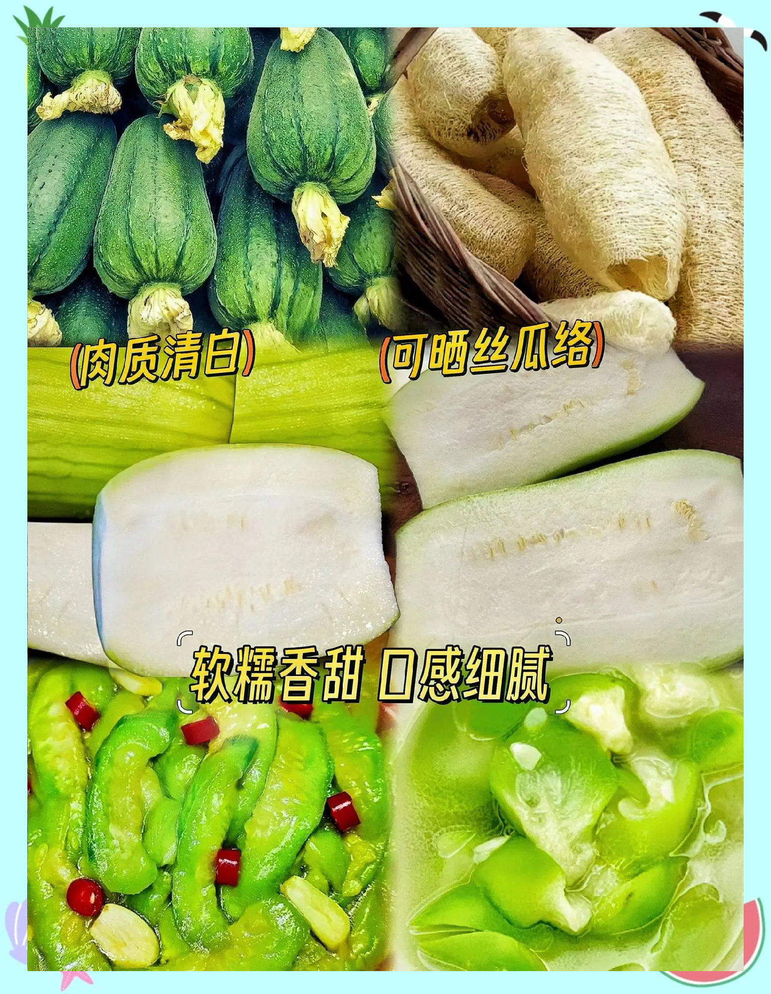 丝瓜下载苹果版丝瓜下载app官方